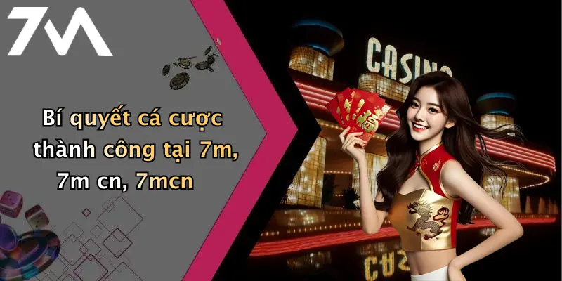 Bí quyết cá cược thành công tại 7m, 7m cn, 7mcn