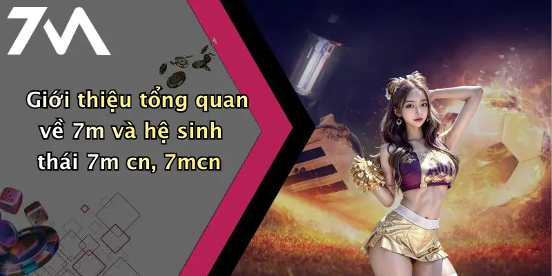 Giới thiệu tổng quan về 7m và hệ sinh thái 7m cn, 7mcn