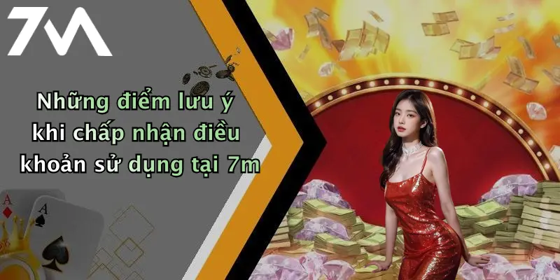 Những điểm lưu ý khi chấp nhận điều khoản sử dụng tại 7m